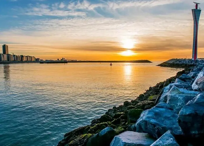 Orchidée 3 Appartement